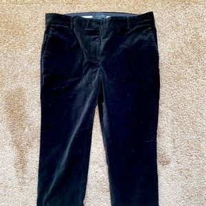 Ann Taylor pants